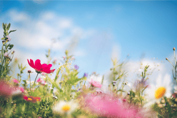 Spring Events