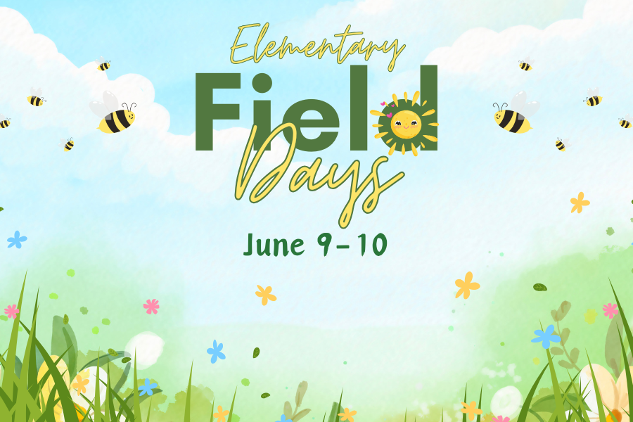 Elementary Field Days