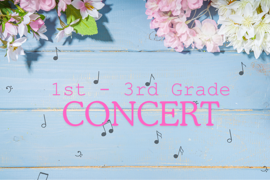 Website Photos (46)-1